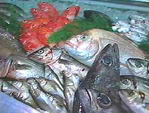 (有)魚鶴